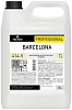 Pro-Brite Barcelona многоцелевое антисептическое средство недорого с доставкой